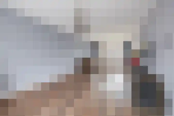 Fazantenpad 6 Tegelen thumbnail 5