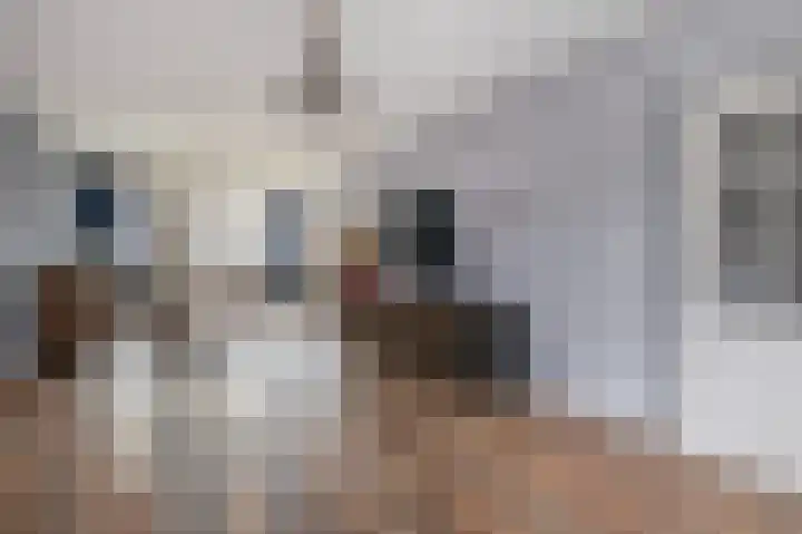 Fazantenpad 6 Tegelen thumbnail 6