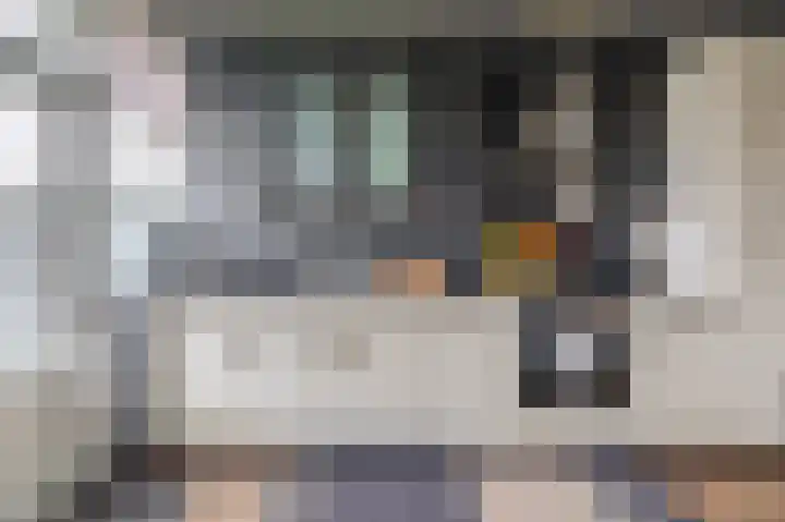 Fazantenpad 6 Tegelen thumbnail 7