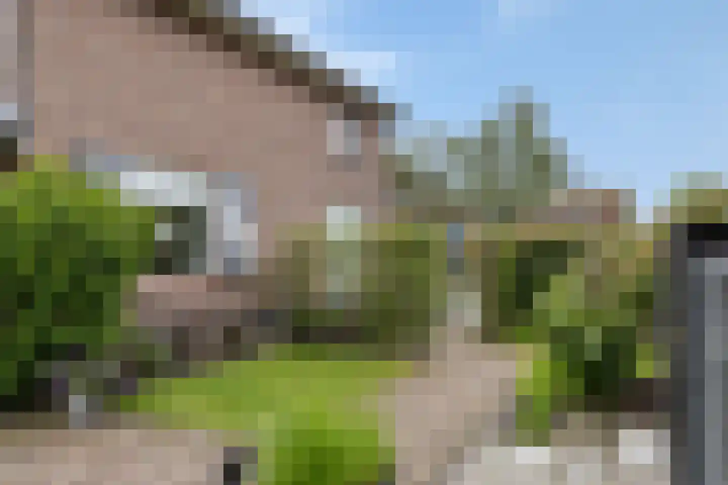 Fazantenstraat 14 Wapenveld thumbnail 28