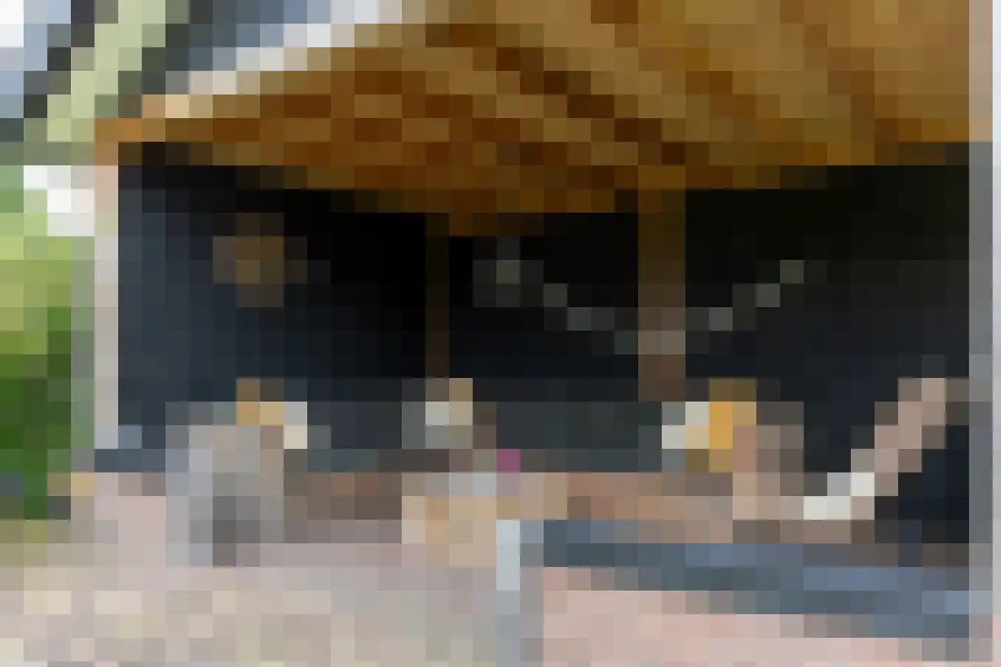 Fazantenstraat 14 Wapenveld thumbnail 31