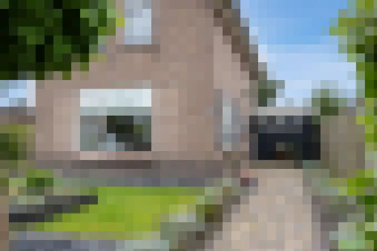 Fazantenstraat 14 Wapenveld thumbnail 33