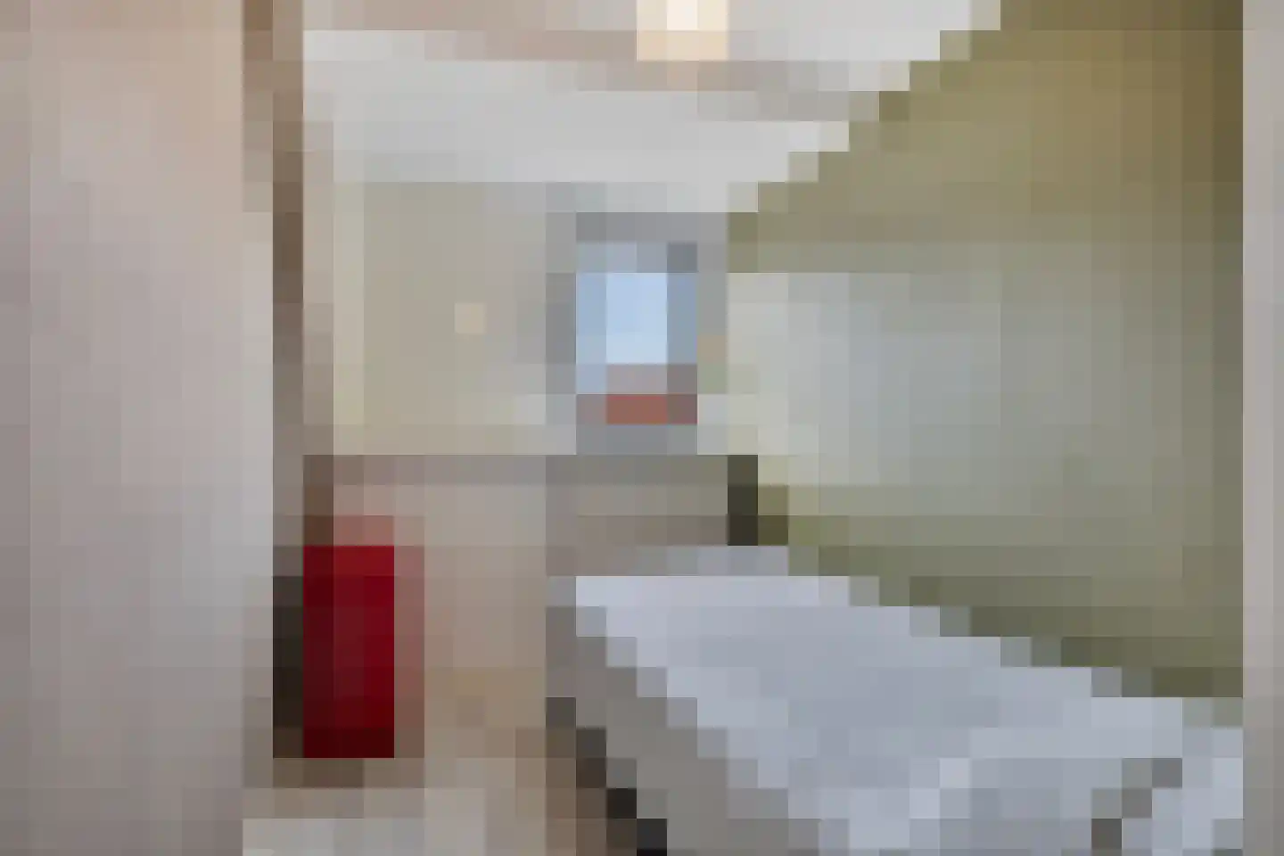 Fazantenstraat 20 Den Helder thumbnail 21