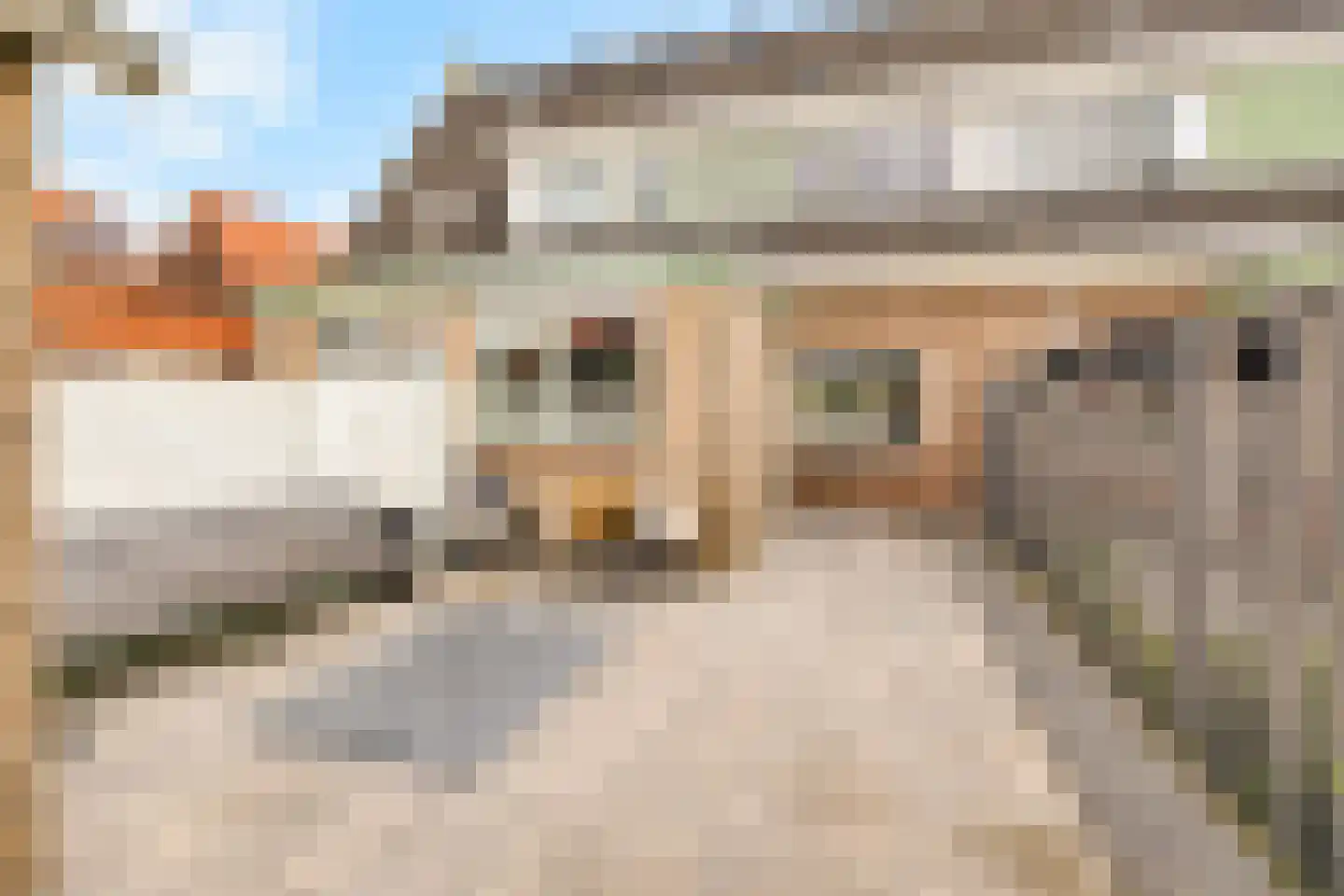 Fazantenstraat 20 Den Helder thumbnail 29