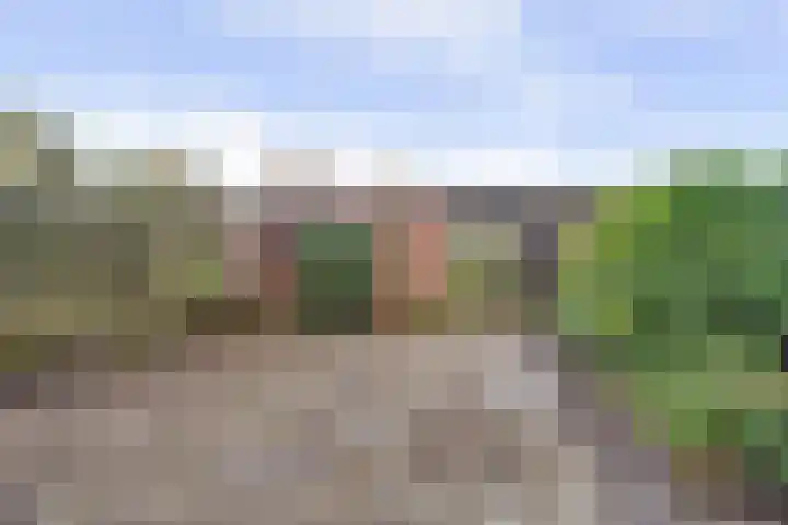 Fazantenstraat 24 Amersfoort thumbnail 28