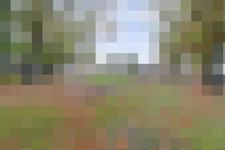 Fazantenstraat 24 Amersfoort thumbnail 35