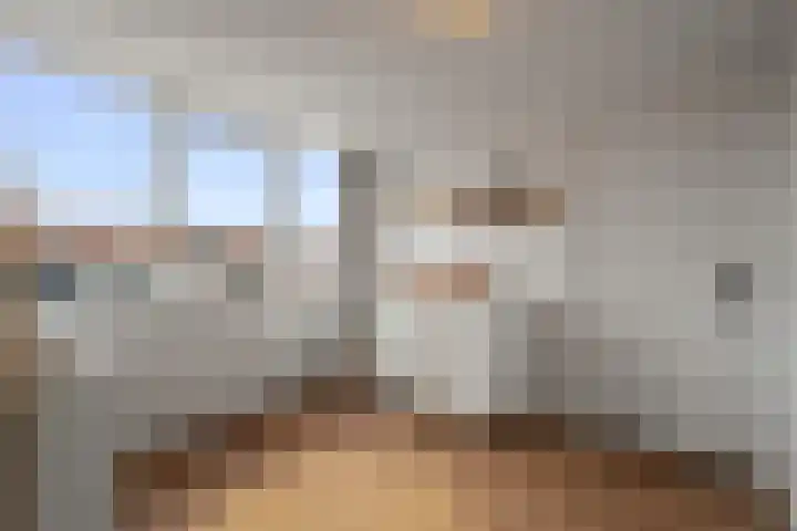 Fazantenstraat 43 Den Helder thumbnail 24