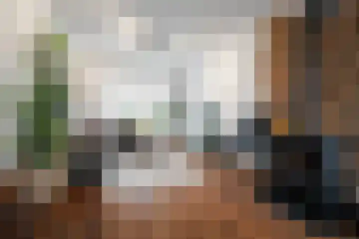 Fazantenstraat 43 Den Helder thumbnail 7