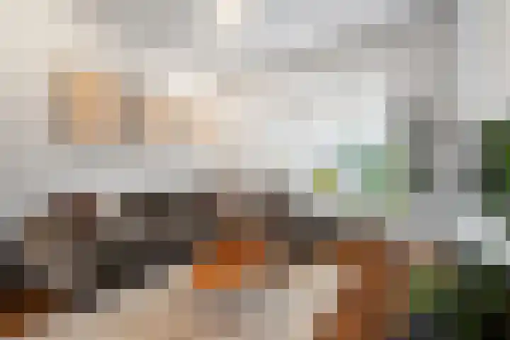 Fazantenstraat 43 Den Helder thumbnail 8