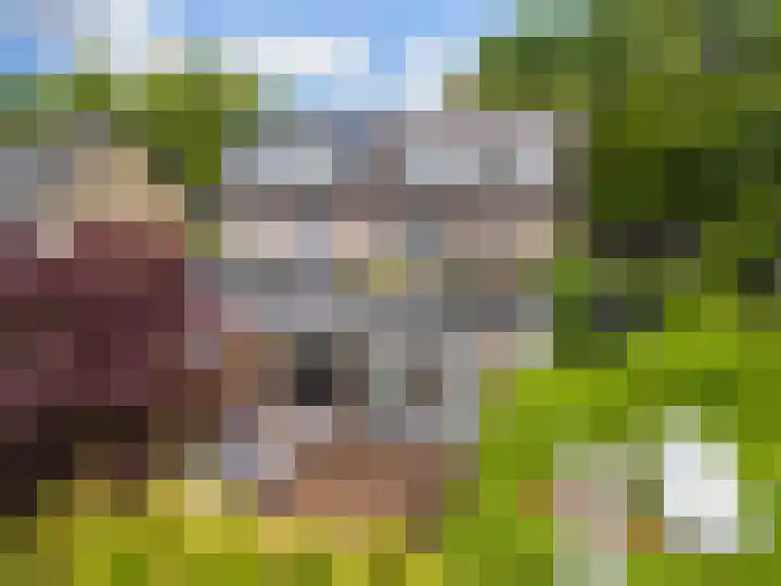 Fazantenstraat 6 Amersfoort thumbnail 32