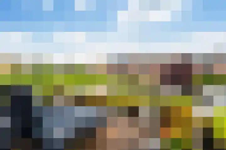 Fazantenstraat 6 Amersfoort thumbnail 37