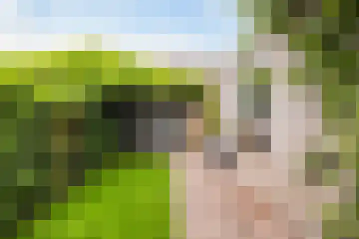 Fazantenstraat 6 Amersfoort thumbnail 4