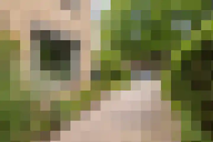 Fazantenstraat 6 Amersfoort thumbnail 5