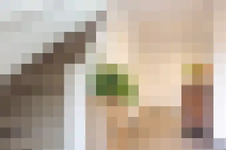 Fazantenstraat 6 Amersfoort thumbnail 7