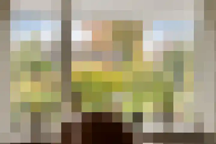 Fazantenstraat 6 Goor thumbnail 15
