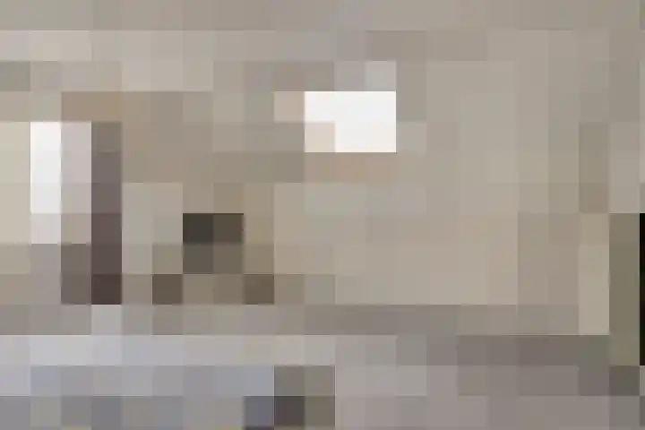Fazantenstraat 6 Goor thumbnail 27