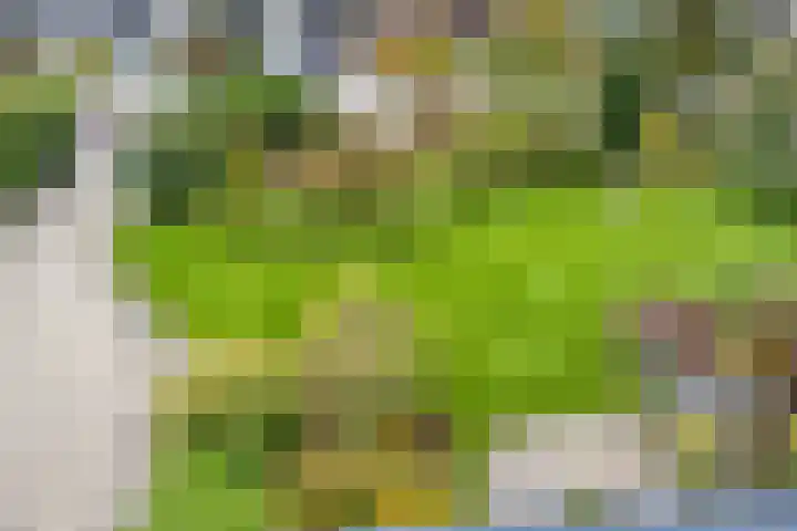 Fazantenstraat 6 Goor thumbnail 28