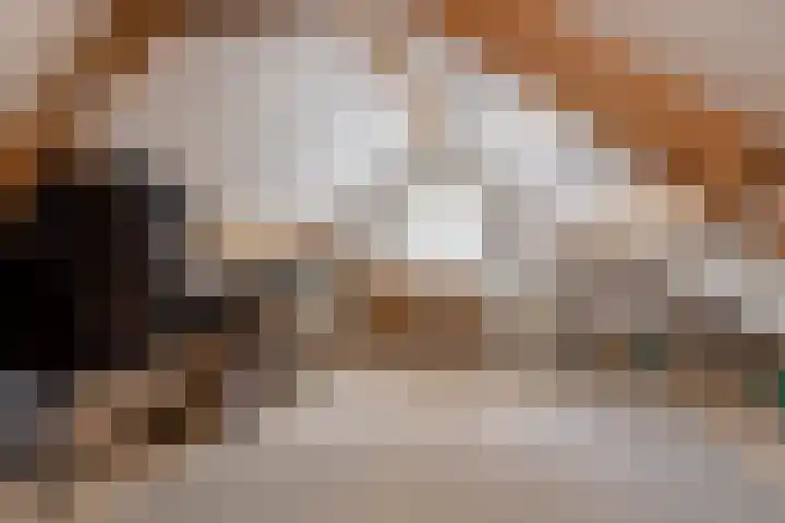 Fazantenstraat 6 Goor thumbnail 33