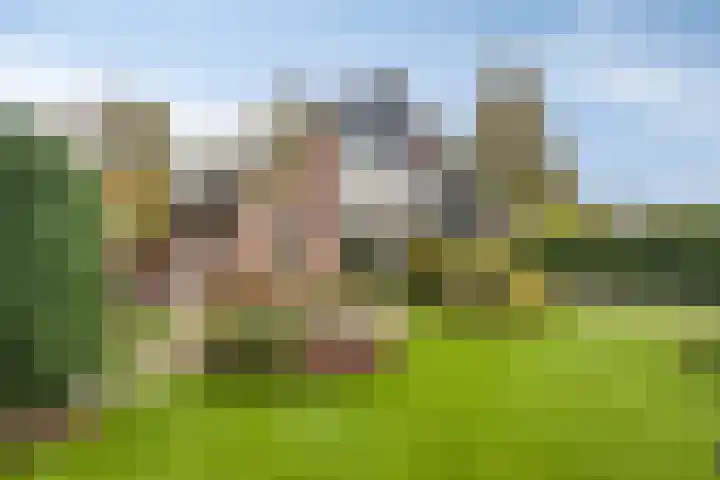 Fazantenstraat 6 Goor thumbnail 35