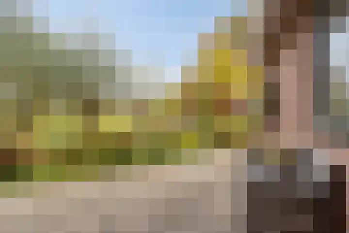 Fazantenstraat 6 Goor thumbnail 36