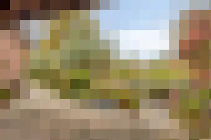 Fazantenstraat 6 Goor thumbnail 39