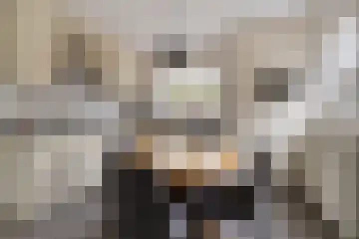 Fazantenstraat 6 Goor thumbnail 4