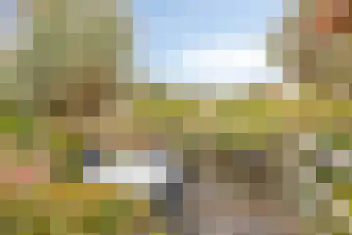 Fazantenstraat 6 Goor thumbnail 40
