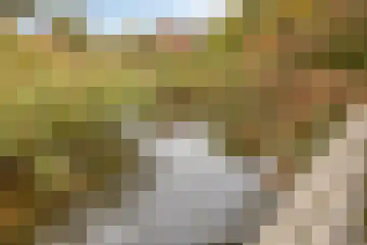 Fazantenstraat 6 Goor thumbnail 41