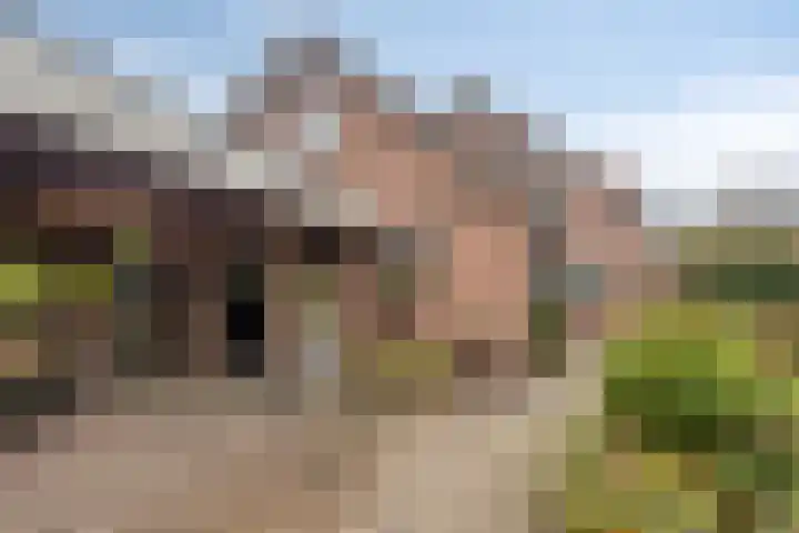 Fazantenstraat 6 Goor thumbnail 42