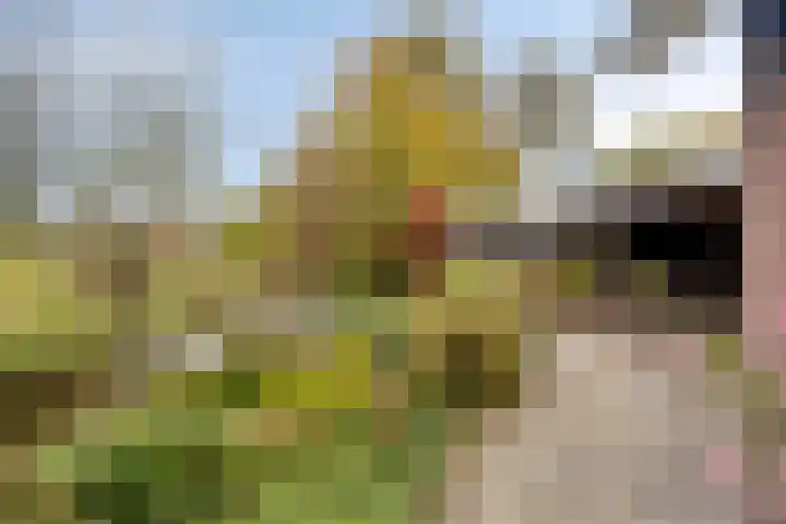 Fazantenstraat 6 Goor thumbnail 43