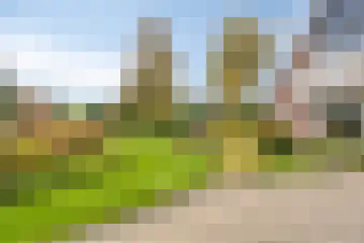 Fazantenstraat 6 Goor thumbnail 44