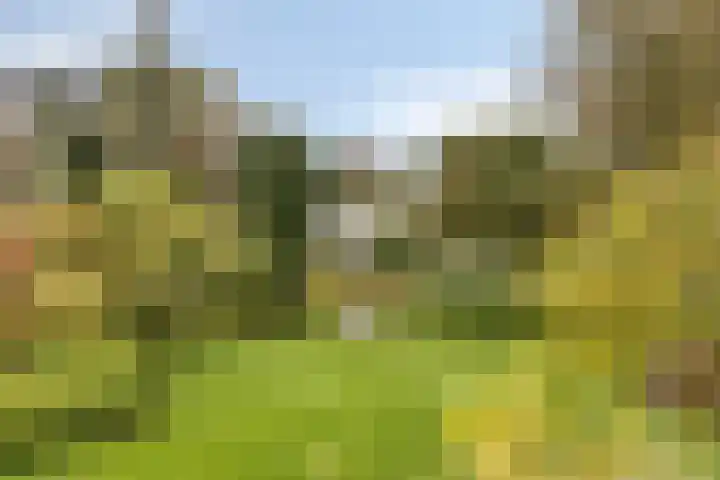 Fazantenstraat 6 Goor thumbnail 45