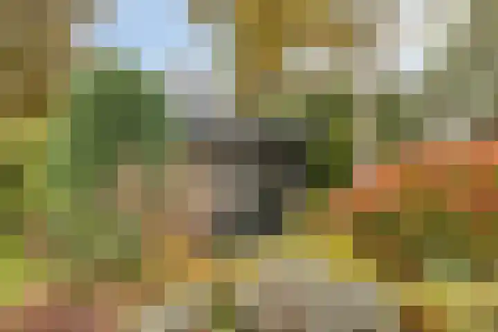 Fazantenstraat 6 Goor thumbnail 46