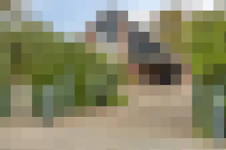 Fazantenstraat 6 Goor thumbnail 47