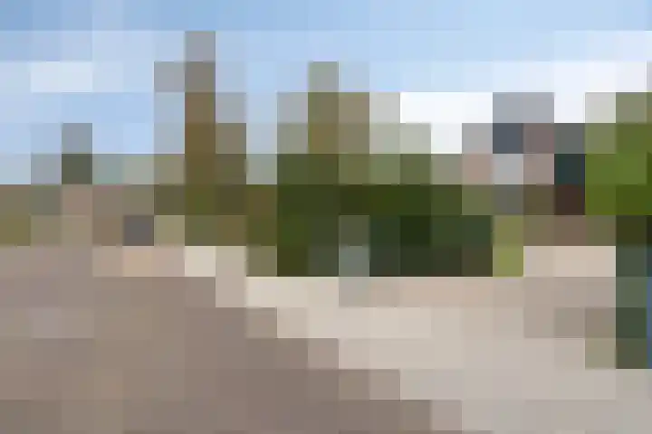 Fazantenstraat 6 Goor thumbnail 50