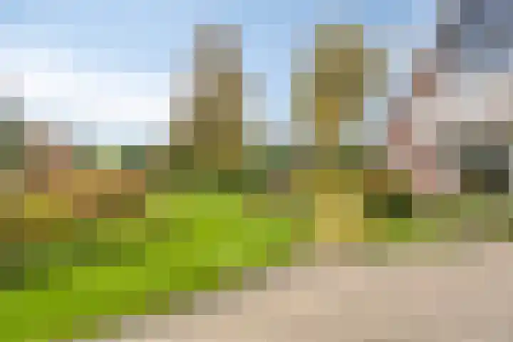 Fazantenstraat 6 Goor thumbnail 6