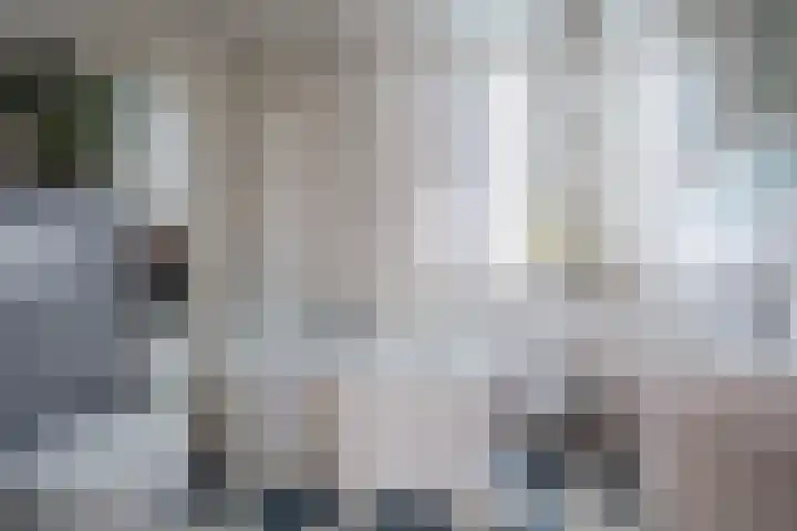 Fazantenveld 101 Cuijk thumbnail 17