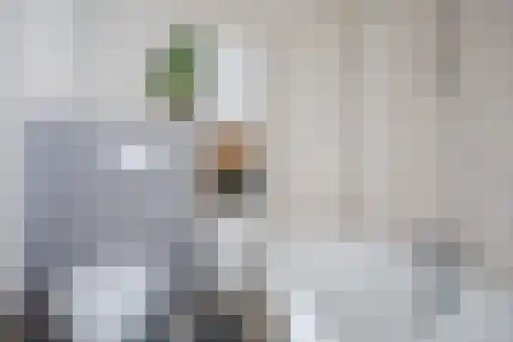 Fazantenveld 101 Cuijk thumbnail 18