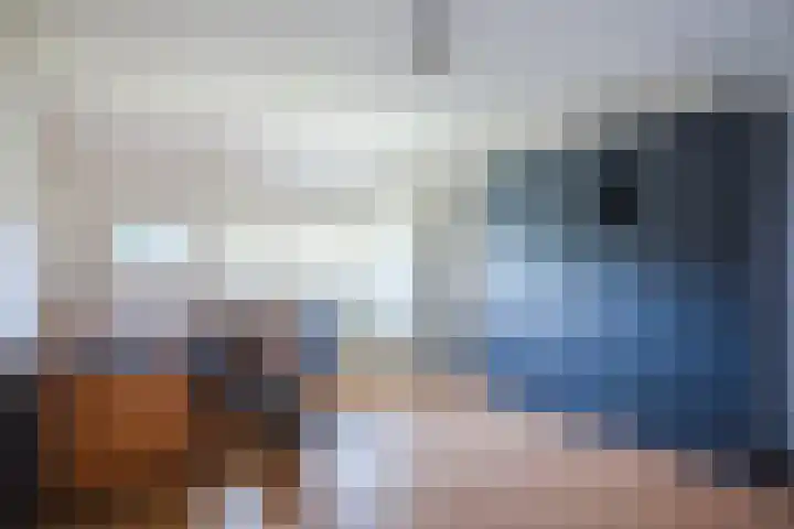 Fazantenveld 101 Cuijk thumbnail 19