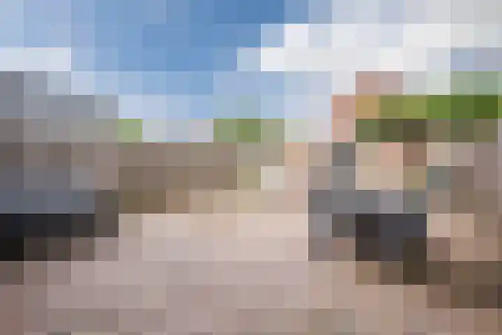 Fazantenveld 101 Cuijk thumbnail 22