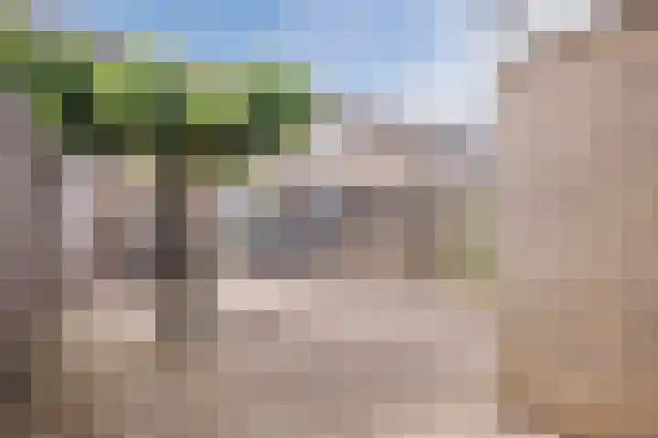 Fazantenveld 101 Cuijk thumbnail 23
