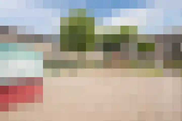 Fazantenveld 101 Cuijk thumbnail 27