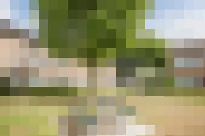 Fazantenveld 101 Cuijk thumbnail 28