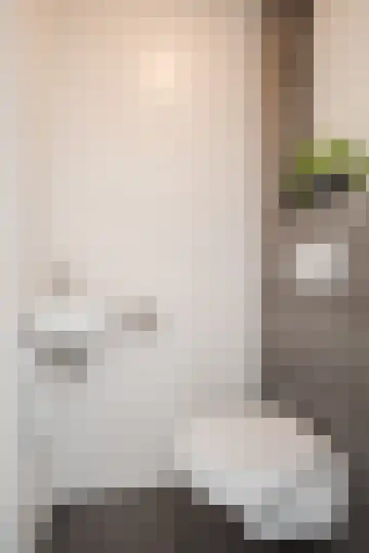Fazantenveld 101 Cuijk thumbnail 6