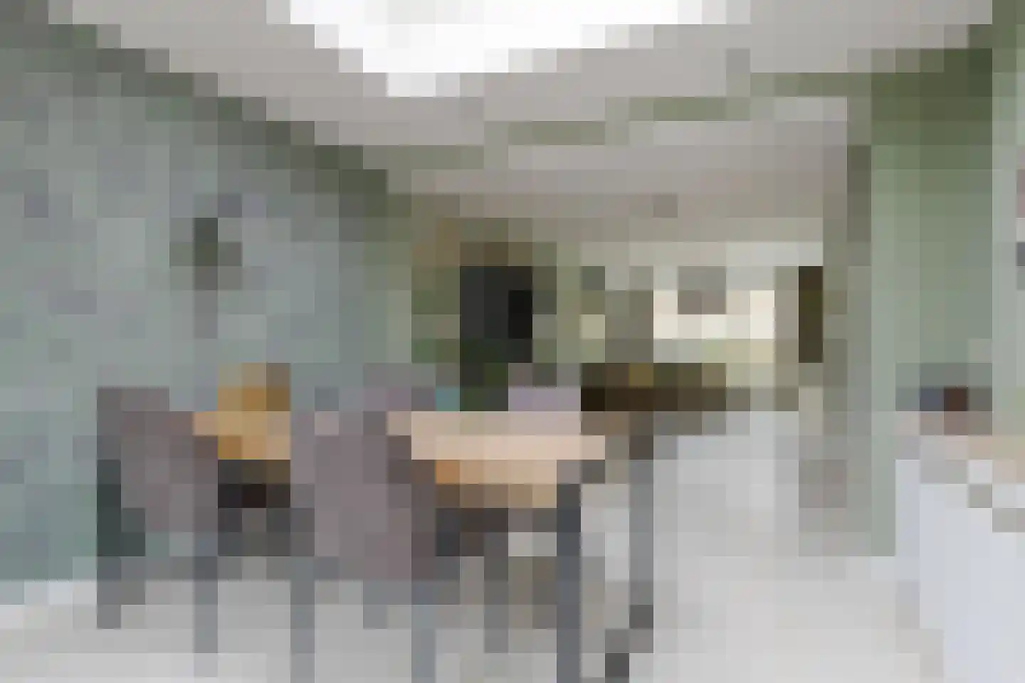 Fazantenveld 110 Cuijk thumbnail 10