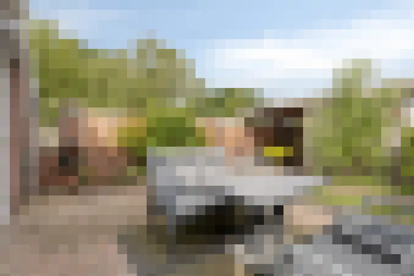 Fazantenveld 110 Cuijk thumbnail 25