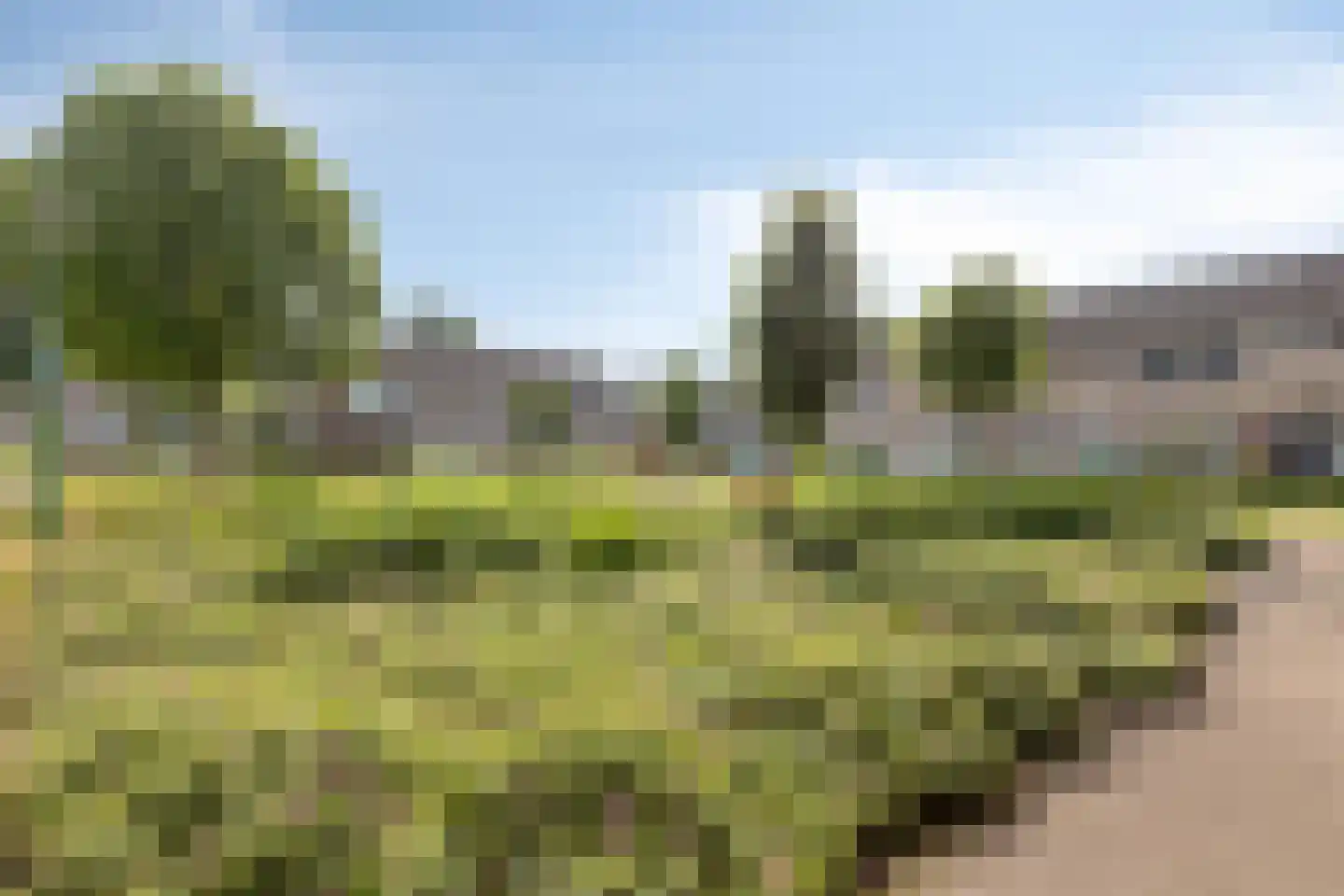 Fazantenveld 110 Cuijk thumbnail 29