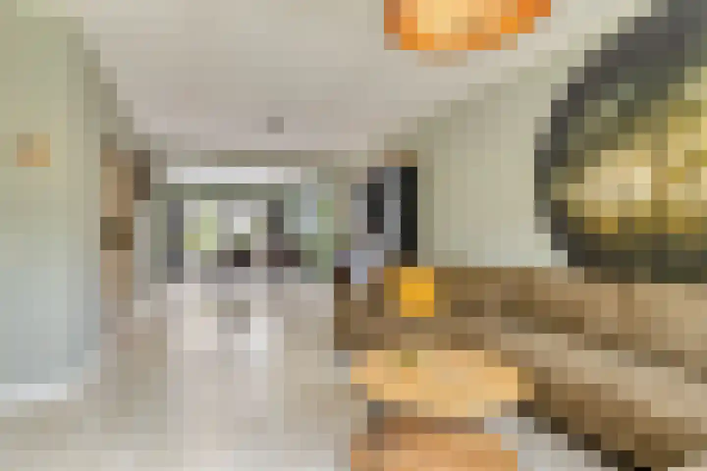 Fazantenveld 110 Cuijk thumbnail 8
