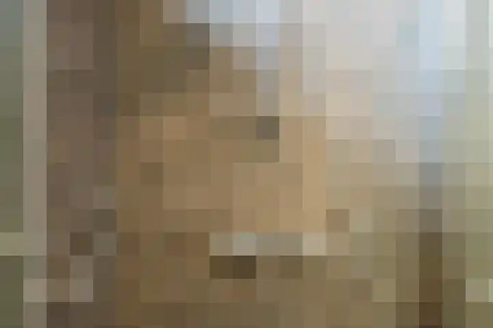 Fazantenveld 23 Cuijk thumbnail 19