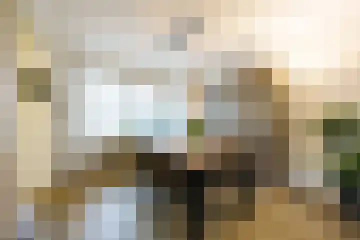 Fazantenveld 23 Cuijk foto 2